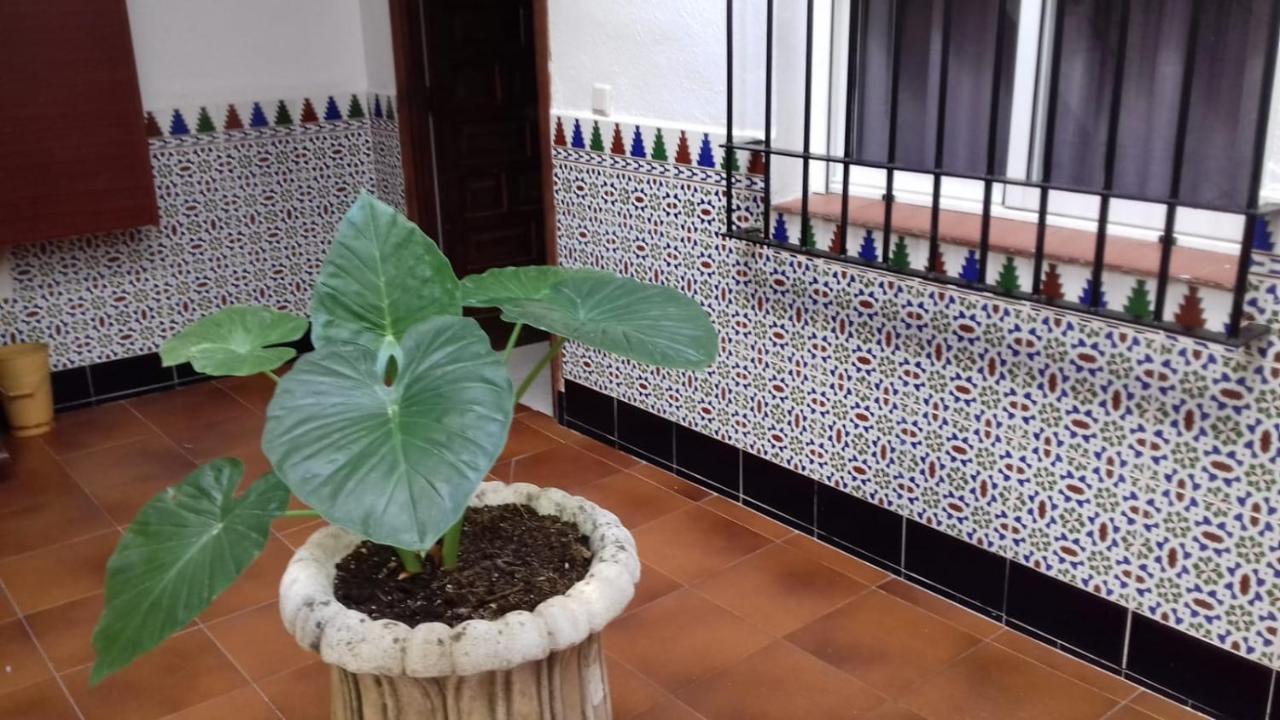 Appartement Patio Pompeyos